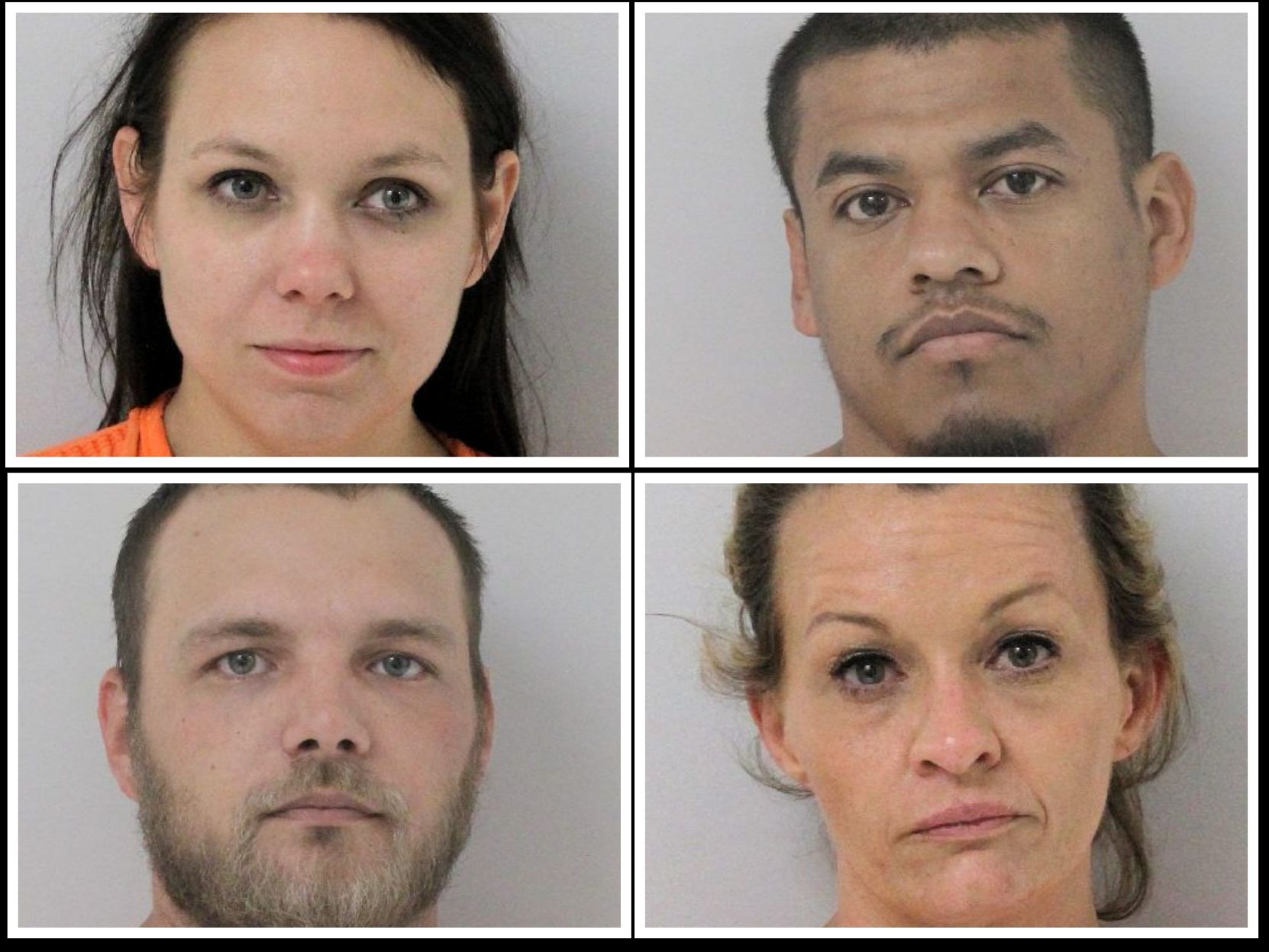 Fraud bust.jpg